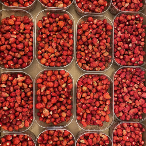 GAŁKA Porcja sorbetu z poziomki 80-100 g